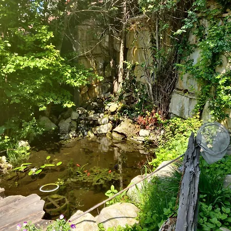 Greenhouse Ein Charmantes Mit Wintergarten Und Terasse Am Teich