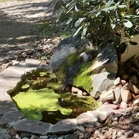 Greenhouse Ein Charmantes Mit Wintergarten Und Terasse Am Teich