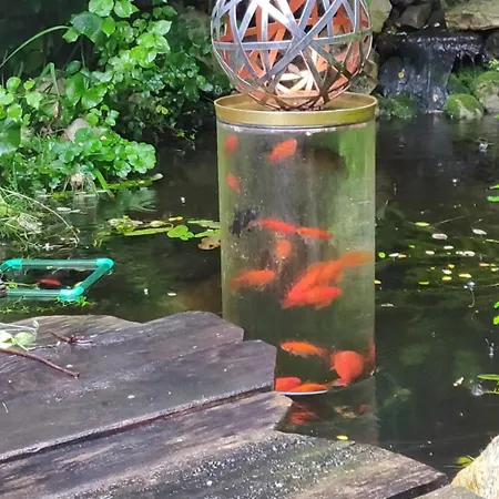 Greenhouse Ein Charmantes Mit Wintergarten Und Terasse Am Teich Apartment